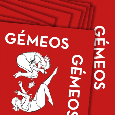 Dez livros Gémeos!!