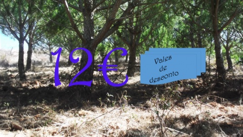 10€= 12 vales de 1€