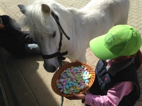 Baptismo a cavalo ou aula!