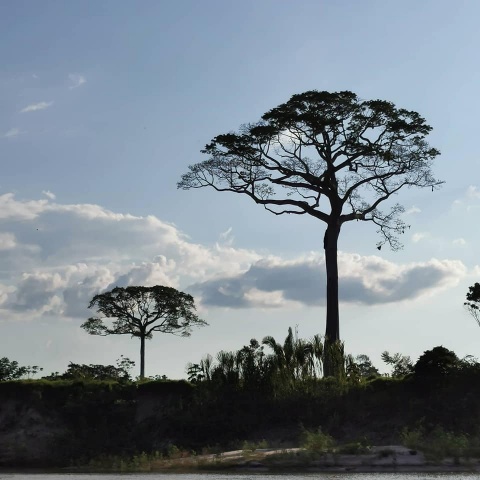 UM MES NA AMAZONIA !!!