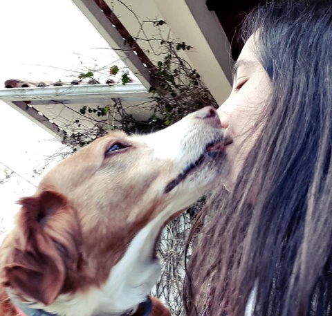 Lambeijo virtual da Juju