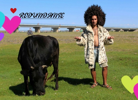 "O Ultimo Livro" (título provisório), recebe o .pdf completo com os 365 poemas e o livro propriamente dito com quantos poemas tiverem sido comprados!