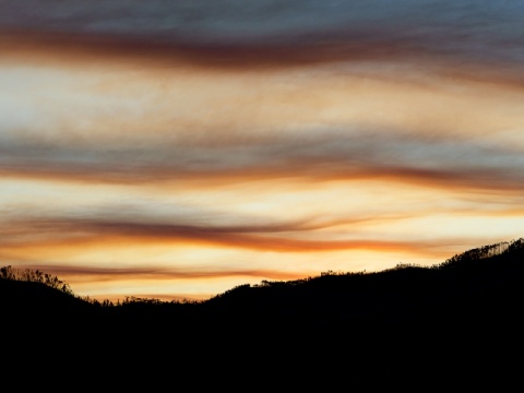 Collection of photographs signed by John Gallo