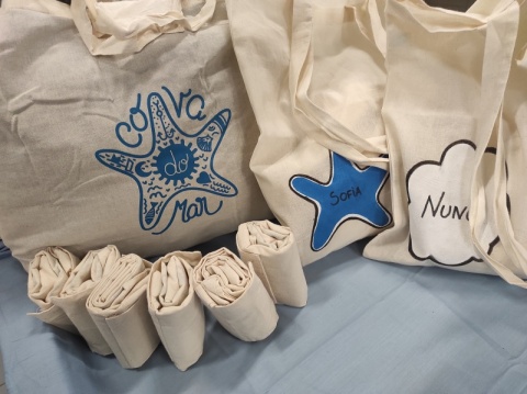 Cloth bag (reusable)