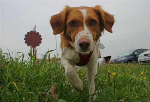 Vídeo de agradecimento personalizado