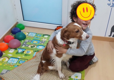 Sessão de brincadeiras e mimices