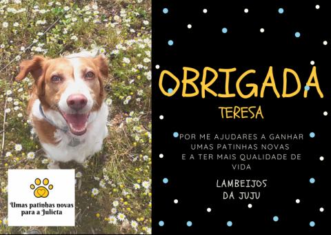 Postal de agradecimento personalizado