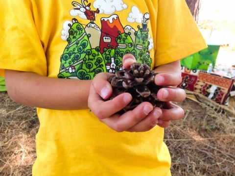 Piquenique e visita personalizada