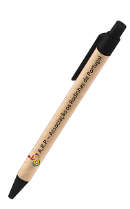 PEN OF THE IV ADAPTED RIDE "OS RODINHAS"