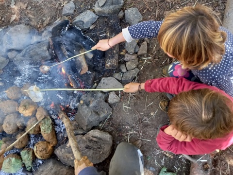 Participação numa oficina de artesanato ou dia de atividades na Natureza