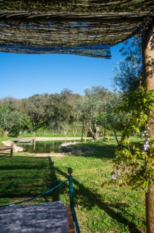 Visita a Figueirinha Ecoturismo!