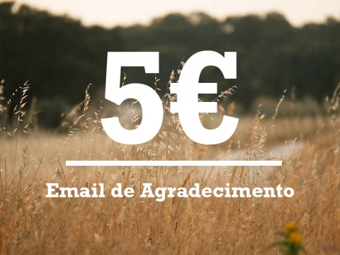 Email de Agradecimento