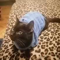 Um email de muito agradecimento