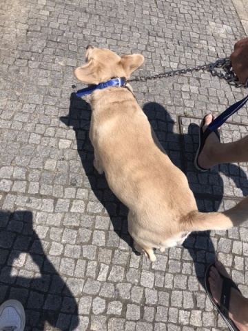 PERSONALIZED SWEATSHIRTS