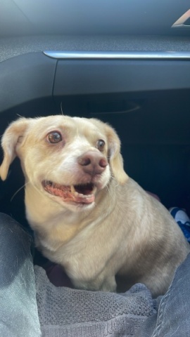 PERSONALIZED THANK YOU VIDEOS