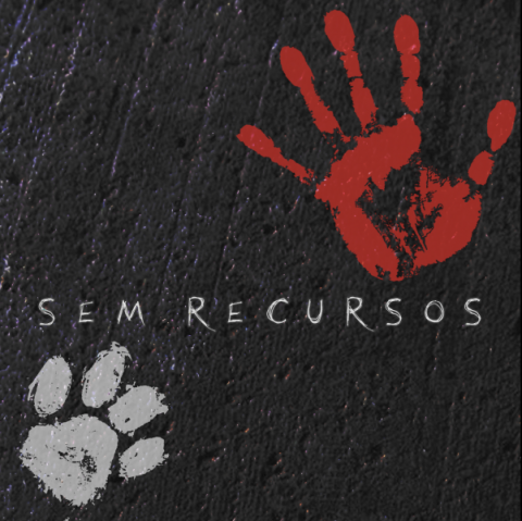 Agradecimento por e-mail 