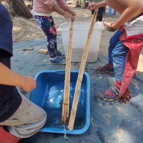 Vem passar um dia connosco!