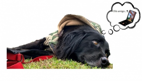 Vídeo chamada de agradecimento pela tua ajuda 