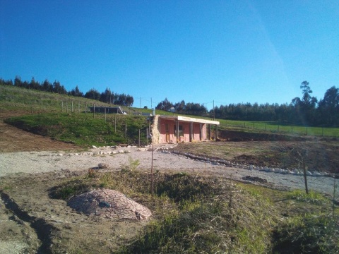 Visita de uma manhã / tarde ao Projecto Criana