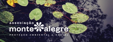 Personalized Thank You Email