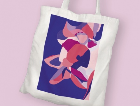 Livro "Onde é que elas andam?" + Festa de Agradecimento + Saco + Ilustração A4