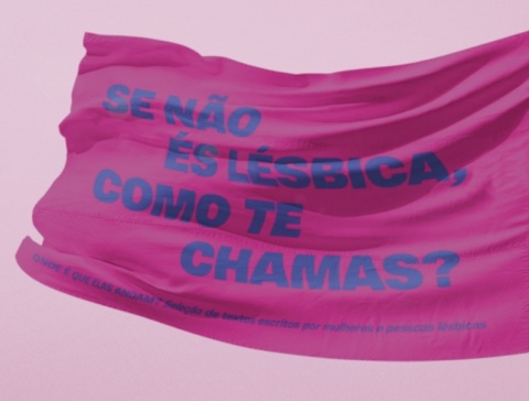 Livro "Onde é que elas andam?" + Festa de Agradecimento + Bandeira "Se não és lésbica"