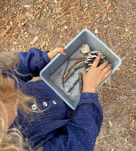 PlayDate free entry + 1 year membership