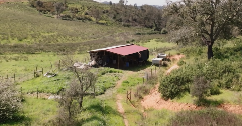 Dia na primeira oficina HUMIVERSO!