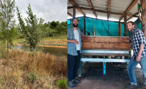 Plantamos árvore + o teu nome na primeira máquina HUMIVERSO