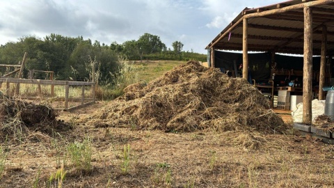 Consultoria de transformação de resíduos através da vermicompostagem.