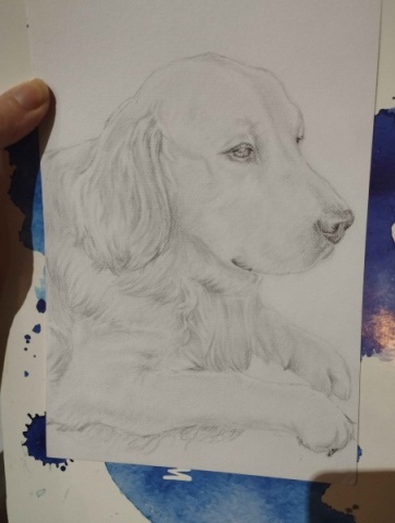 Muito Obrigado - 3 retratos