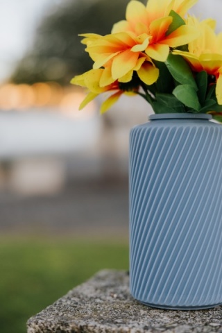 2 Sallus Home + 10% Discount Hephaesnus Store