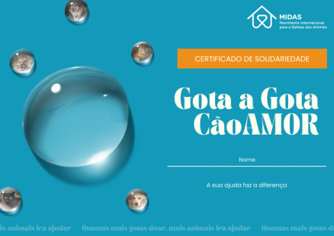 Certificado Gota a Gota