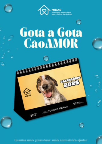 Calendário Solidário 2025