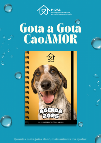 Agenda Solidária A5 de 2025