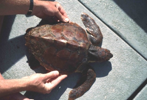 Um enorme agradecimento!