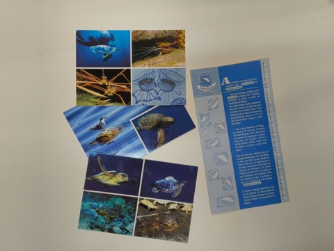 Lembrança das tartarugas!