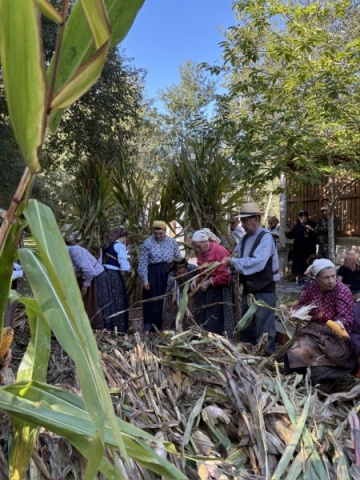 Special Supporter – Exclusive Video + Name in Credits