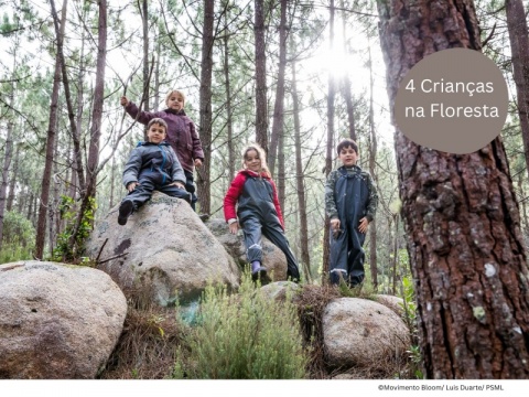 Este donativo permite levar 4 crianças para a natureza* & Oferta Bloom Walk (5pax) 