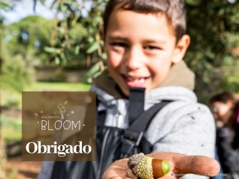 Agradecimento & Voucher