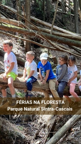 Este donativo permite levar 6 crianças para a natureza* & Oferta Campo Férias