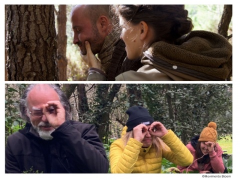 Este donativo permite levar 20 crianças para a natureza* &Programa Nature Wellness/ Forest Flow Corporate - team building (max. 50 pessoas)