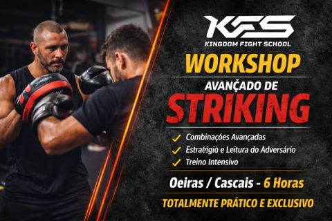 Workshop Avançado de Striking (Técnica e Estratégia)
