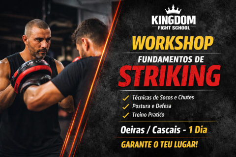 Workshop Fundamentos de Striking (1 dia)