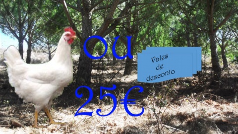20€= vale 1 frango ou 25 vales de 1€