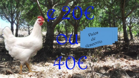 30€= vale 1 frango e 10 vales de 2€ ou  20 vales de 2€