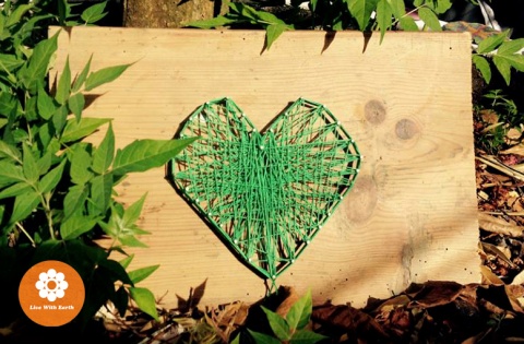 Participation in any event of Live With Earth