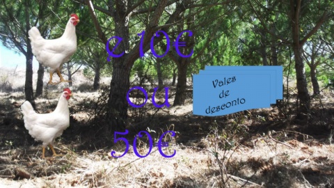 40€= vale 2  frangos  e 10 vales de 1€ ou 25 vales de 2€ 