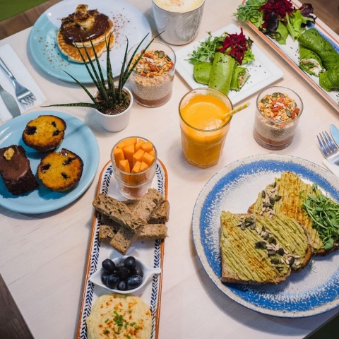 Workshop - Raw Snacks - Virgínia Kulaif