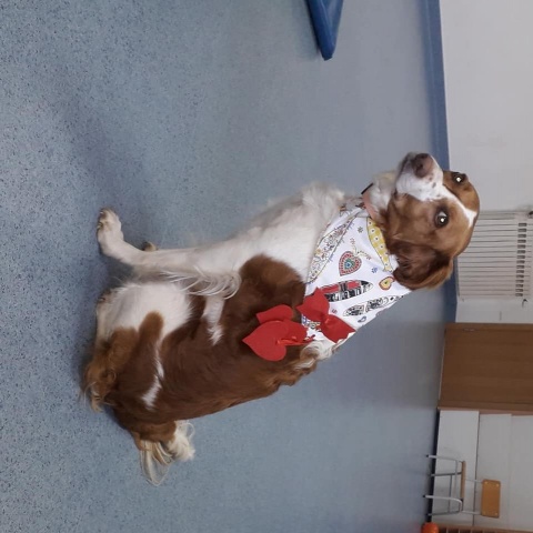 Vídeo de agradecimento personalizado